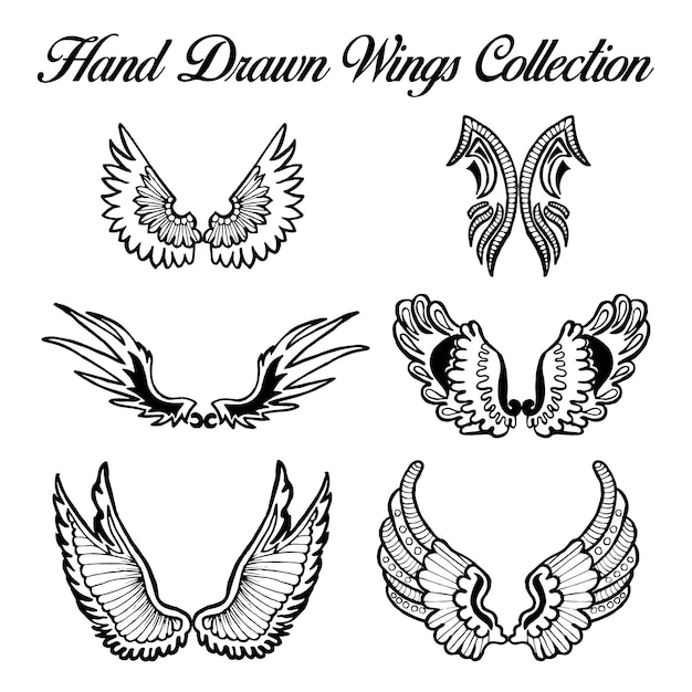 Hand drawn black and white wings collection