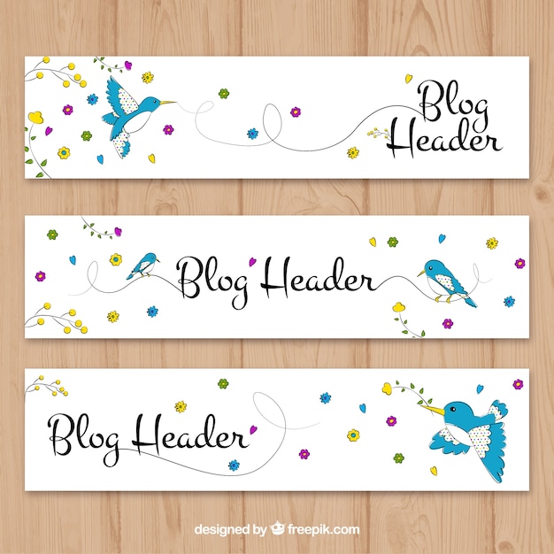 Hand drawn blog header with bird and flowers