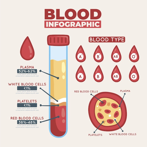 Infografica di sangue disegnato a mano