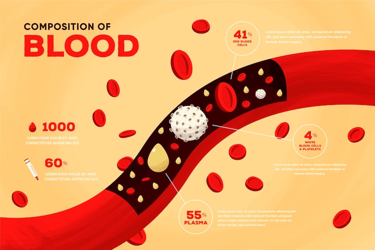 무료 Vector 손으로 그린 혈액 infographic