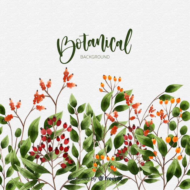 Hand drawn botanical background