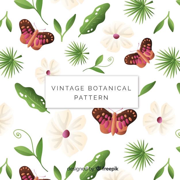 Hand drawn botanical background