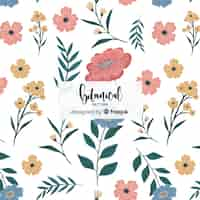 Free vector hand drawn botanical background