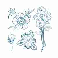 Free vector hand drawn botanical drawing illustration