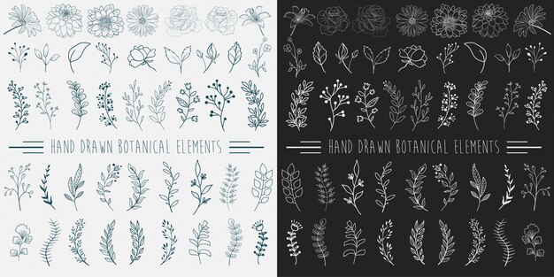 Hand drawn botanical elements.