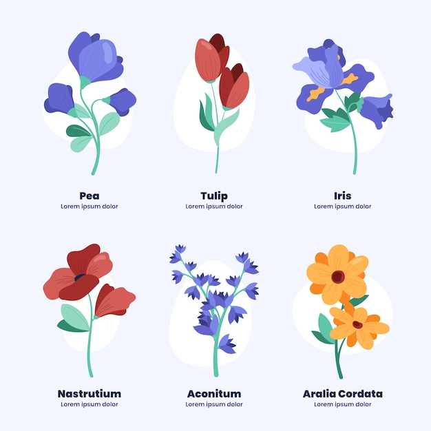 Grafico di fiori botanici disegnati a mano