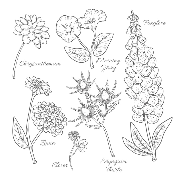 손으로 그린 식물 꽃 차트