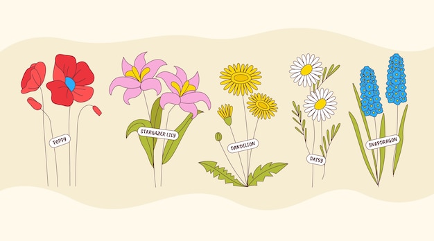 Free Vector hand drawn botanical flower chart