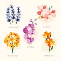 Vettore gratuito grafico di fiori botanici disegnati a mano