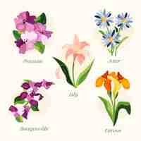 無料ベクター 手描きの植物の花のチャート