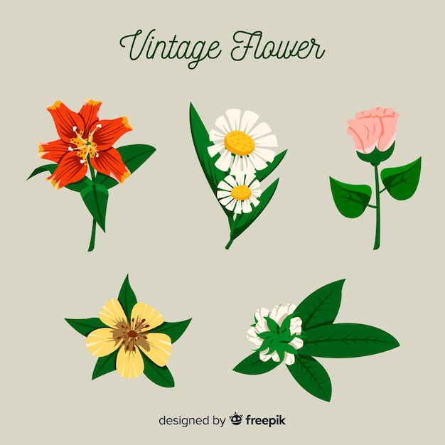 Free vector hand drawn botanical flower collection