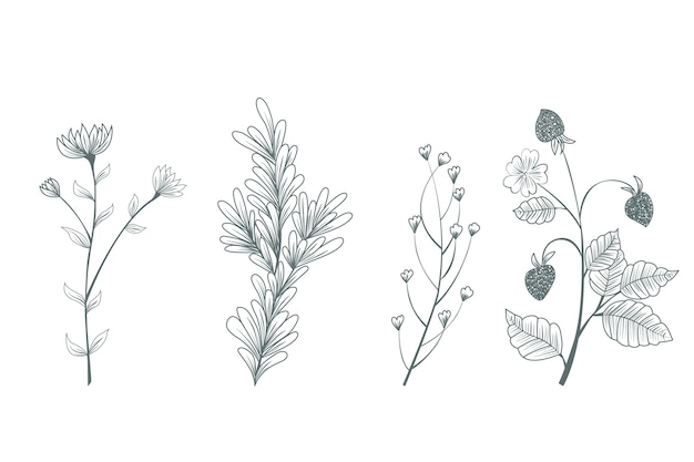 Free vector hand drawn botanical wild flowers