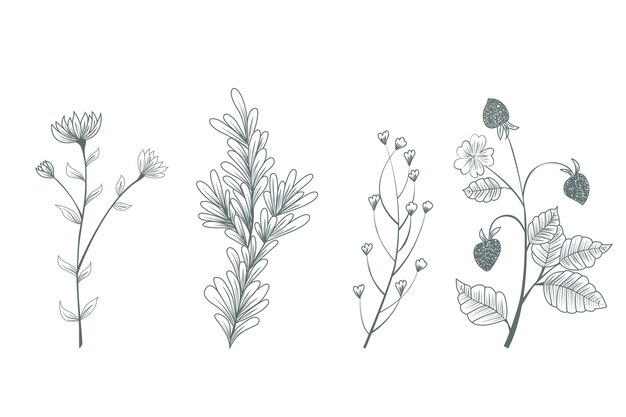 Hand drawn botanical wild flowers