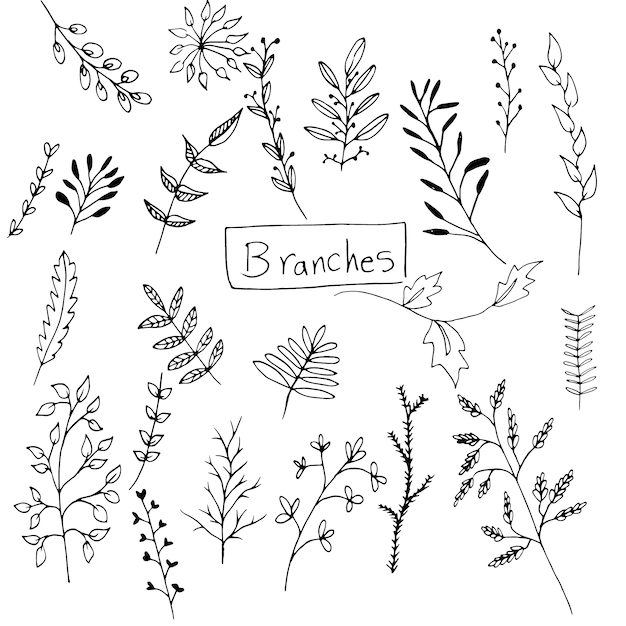 Hand drawn branches collection