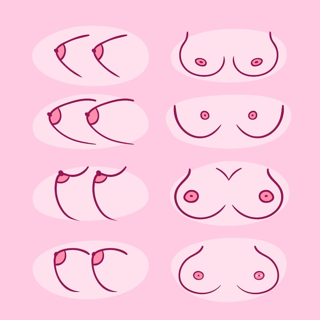 Female breasts Vectors & Illustrations for Free Download