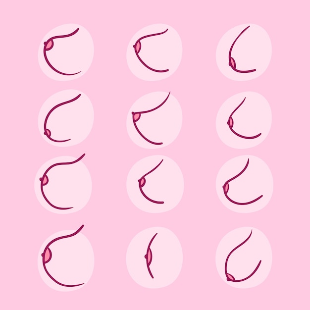 Perfect breast Vectors & Illustrations for Free Download