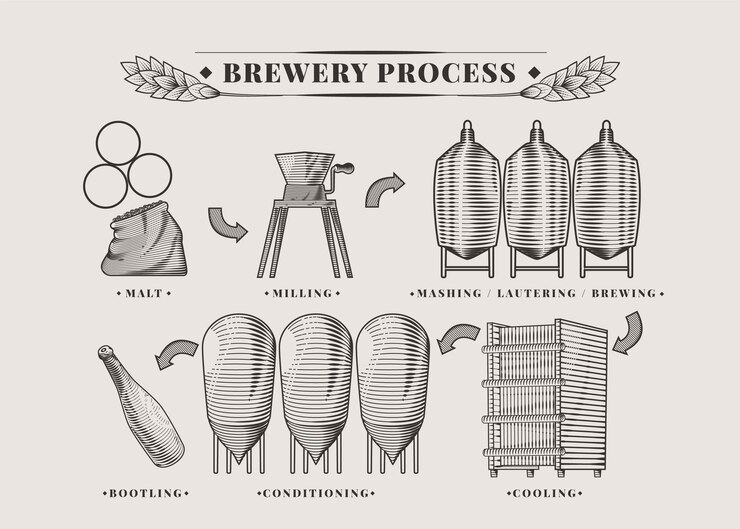 Free Vector hand drawn brewery infographic