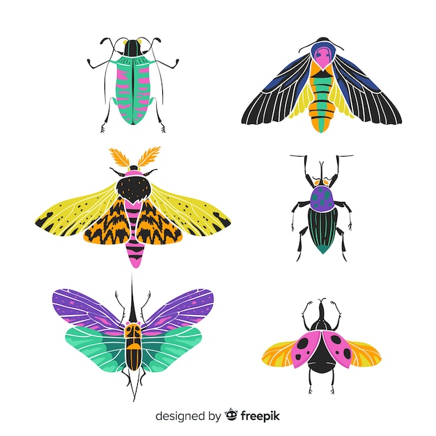 Free vector hand drawn bugs collection