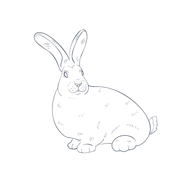 Free vector hand drawn bunny outline illustration