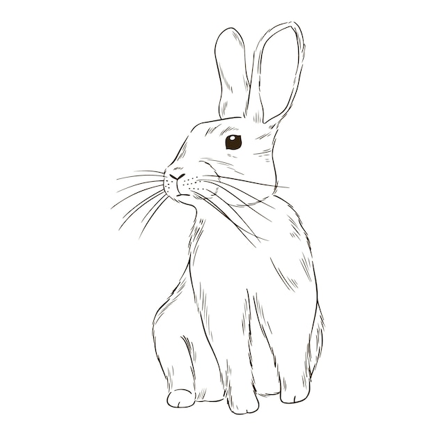 Free vector hand drawn bunny outline illustration