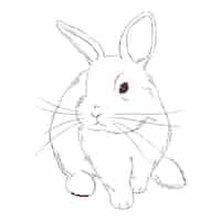 Free vector hand drawn bunny outline illustration