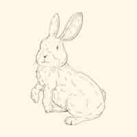 Free vector hand drawn bunny outline illustration