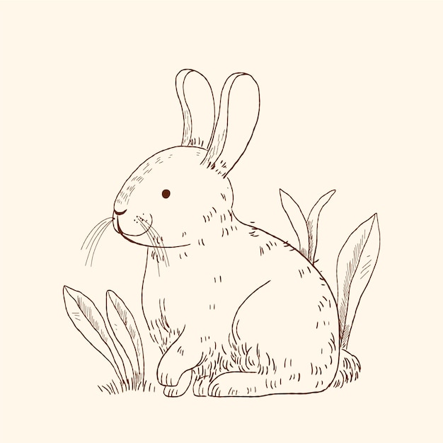 Hand drawn bunny outline illustration