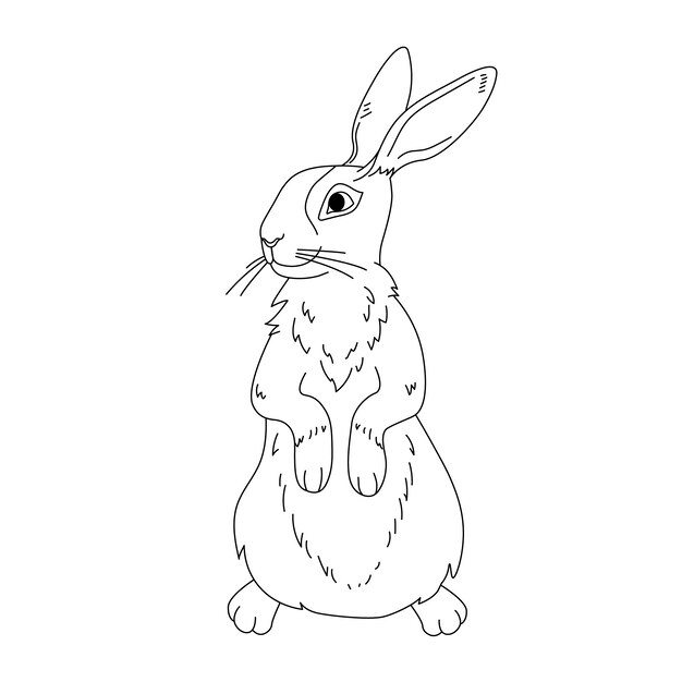 Hand drawn bunny outline illustration