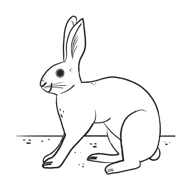 Hand drawn bunny outline illustration