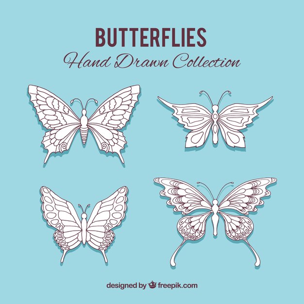 Free Vector hand drawn butterflies set 