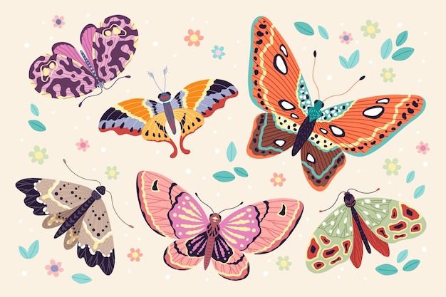 Hand drawn butterfly collection