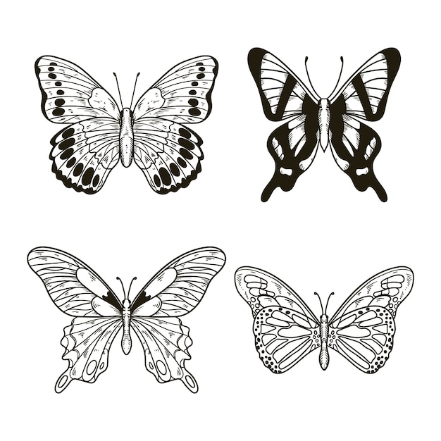 Free vector hand drawn butterfly illustration