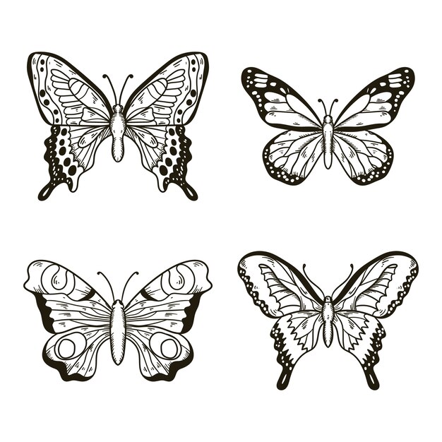 Иллюстрация бабочки, нарисованная вручную