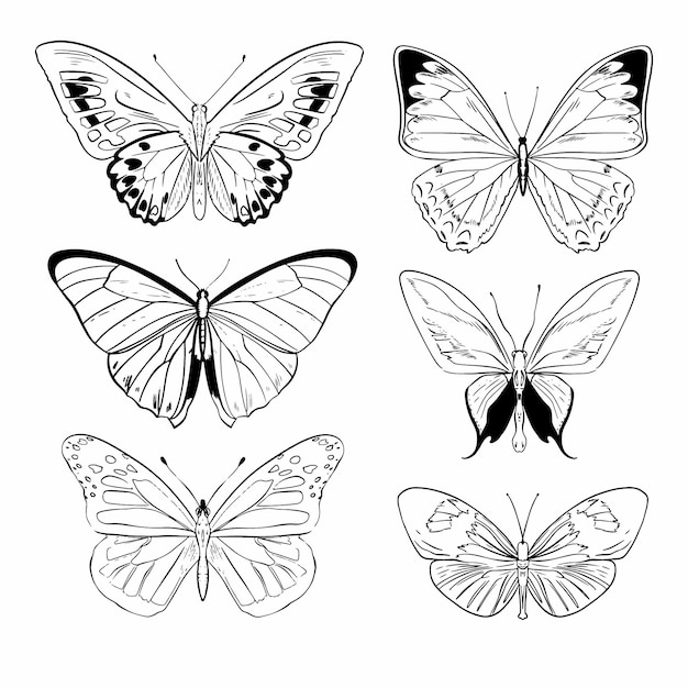 手描きの蝶のアウトラインコレクション