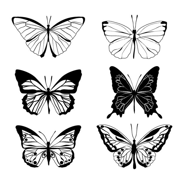 Набор рисованной бабочки