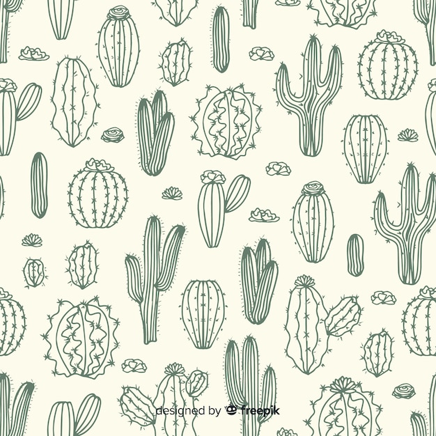 Hand drawn cactus doodle background