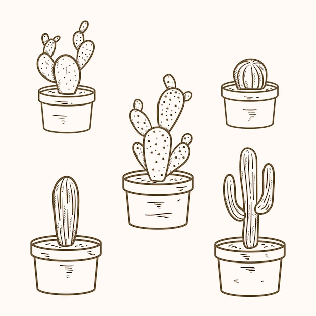 Free vector hand drawn cactus drawing illustration