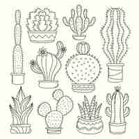 Vettore gratuito illustrazione disegnata a mano del disegno del cactus