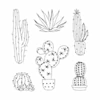 Vettore gratuito illustrazione disegnata a mano del disegno del cactus