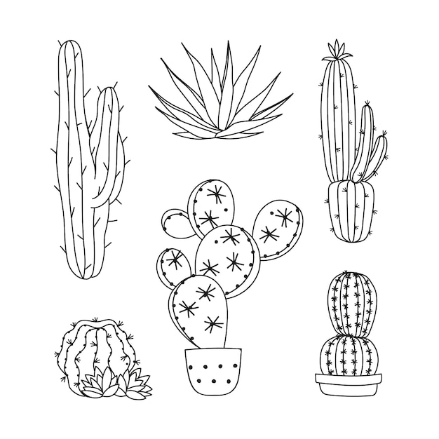 Free Vector hand drawn cactus drawing illustration