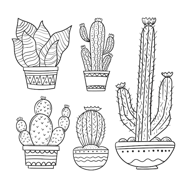 Бесплатное векторное изображение Ручной обращается рисунок кактуса