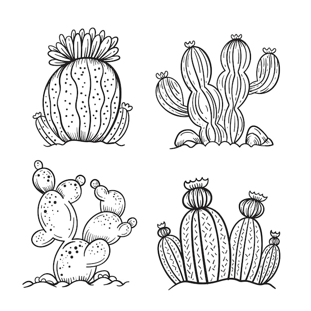 Free vector hand drawn cactus drawing illustration