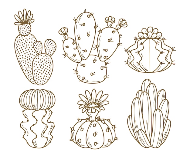 Free vector hand drawn cactus  illustration