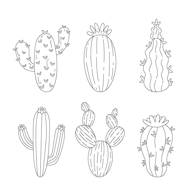 Vettore gratuito illustrazione del profilo del cactus disegnato a mano