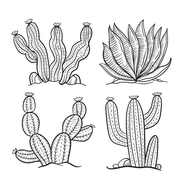 Hand drawn cactus outline illustration