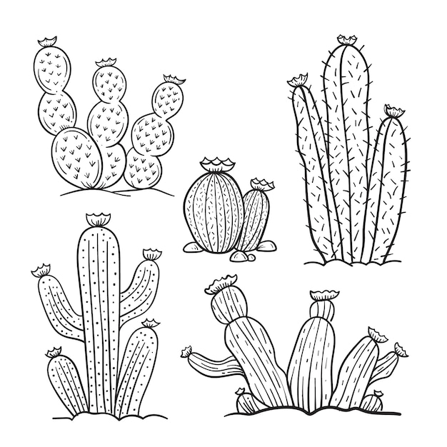 Illustrazione del profilo del cactus disegnato a mano