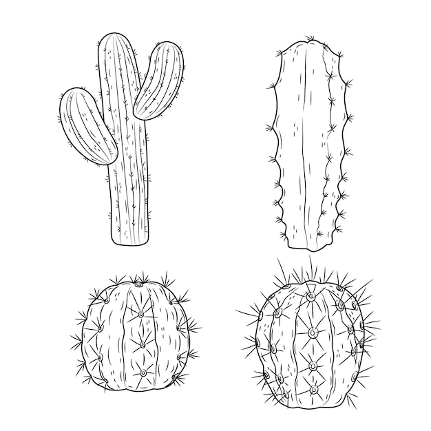 Vettore gratuito illustrazione del profilo del cactus disegnato a mano