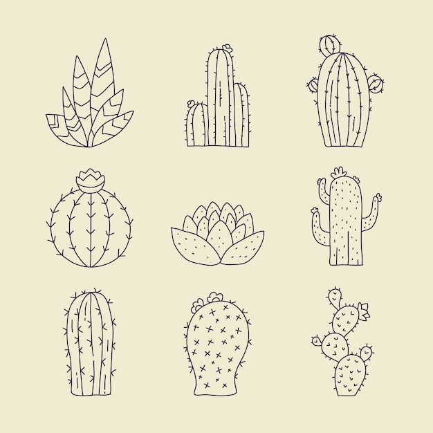 Vettore gratuito illustrazione del profilo del cactus disegnato a mano