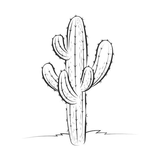 Hand drawn cactus outline illustration