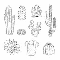 Vettore gratuito illustrazione del profilo del cactus disegnato a mano